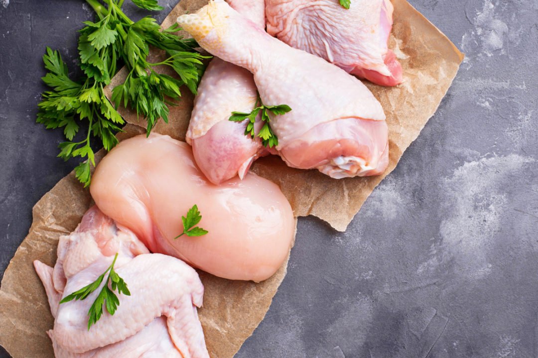 chicken-bg
